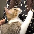 初めて聞いた雷の音にビックリする子猫ちゃんがとった行動とは！？