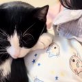 『家のことしないといけないのに…』ママの膝の上を見ると→猫と赤ちゃんの…