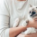 猫が嫌がらない『上手な抱っこ』のコツ3選　タイミングも重要なポイン…