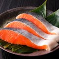 猫に鮭を与えても大丈夫？主な栄養素と健康効果、正しい与え方から注…