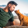 猫の『鼻チュー』に込められている5つの理由　信頼されている証？行動の意…