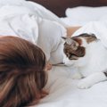 猫は飼い主のことを『どんな存在』だと思っているの？　考えられる3つ…