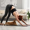 猫が『筋トレやストレッチを始めると邪魔してくる』のはなぜ？考えら…