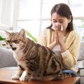 猫が『咳』をしているときの原因4つ　病気の可能性から適切な対処法まで