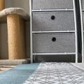 ペットカメラを覗いたら、猫が予想外の場所からカメラを見つめていて…衝撃…