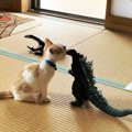 猫が『鼻チュー』をする時の心理５つ