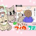 半分アメショのつくねとコナン【第51話】「オンラインにて」