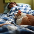 猫と『一緒に寝る』ときの絶対NG行為4つ　危険な事故の可能性や安全を守る…