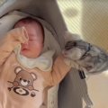 赤ちゃんを興味津々に見つめる子猫→ぐずり始めそうになると…ほっこり…