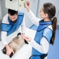 猫の『レントゲン検査』の基礎知識4選　どんなときに受ける？どんな病気が…