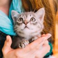 猫から『信頼できる人』認定される条件とは？4つのポイント