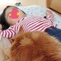 まるで犬と話題の大きな猫は、イクメンぶりが半端ない！