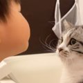 顔を近づけてキスをしようとしてきた子どもに……猫が見せた『優しすぎ…