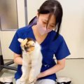 動物病院のスタッフさん→散歩させてあげようと猫を離したら…あまりに…