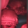 夜、寝ていると起こしにやってくる猫→一生懸命『前足』を使って…笑ってし…