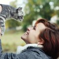 猫の飼い主が亡くなったら？万が一のためその後について考えよう