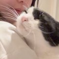 飼い主さん帰宅→抱っこされた猫の『おてて』を見てみると……キュンとする瞬…