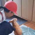 小学校から子どもたちが帰ってくると……『お出迎えする猫』の様子が尊すぎ…