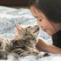 猫にモテる4つの秘訣♡“好かれる人”がしていることって何？