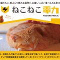 いつも通りの暮らしで猫支援！「ねこねこ電力」