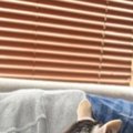 『もはやマタタビ？』ソファでくつろぐパパを見たら、『猫たち』が…『モテ…
