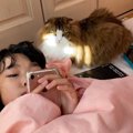 猫が『風邪を引いた飼い主』を見たら…"ずっと寄り添う姿"が…