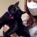 『実家最高！』おうちに帰りたくない猫ちゃんたち