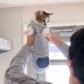 『パパだいすきな保護猫』が朝に見せた行動…想像以上の『猛アピール』…