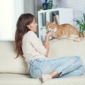 猫に好印象を与える7つのテクニック