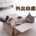 【猫さま推奨】不要不急の外出自粛と在宅勤務で感染拡大を食い止めよ！