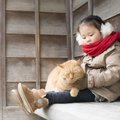 『野良猫に好かれる人』に共通すること3つ