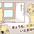 きょうも、お猫さまはいとをかし。【第12話】「温室育ち」