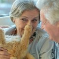 深すぎる猫愛が生んだユニークな「飼い猫博物館」創設者は晩年を猫に…