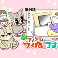 半分アメショのつくねとコナン【第64話】 「そこに手があっただけ」