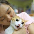 アンタなんか大嫌い！猫が『本気でイヤな人』限定でする4つの行為　そこま…