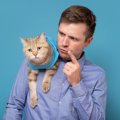 猫を叱るのは意味がない？猫にやめてほしい時にすべき対応５つ