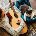 『猫を愛してやまないミュージシャン』3選　なかにはオリジナルソング…
