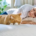 猫が『一緒に寝たい』と思う人に共通する特徴4選　添い寝してもらうために…