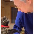 お父さんがお肉を調理していると、猫がやってきて…ついあげたくなる『…