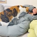 飼い主が風邪を引いてダウンしていたら、『猫の反応』は……？まさかの光景…