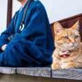 愛猫が飼い主さんの『身代わり』になることがあるって本当？よく聞く3…