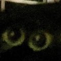 撮影の瞬間に頭を大きく振った黒猫→顔を見てみると……ぞっとする『妖怪…