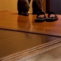 外が暗くなると、2匹の猫が玄関に並んで…『飼い主の帰りを待つ様子』…