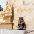 地域でもSNSでも大人気の猫ちゃんが、「古代ローマ風の銅像」のモデルにな…