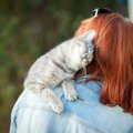 猫は『単頭飼いと多頭飼い』どっちがいいの？メリット・デメリットや…