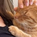 ママに抱っこされて『幸せそうな表情をする甘えん坊猫』→帰ってきた娘に猫…