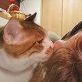 『いい加減起きてニャ』毎朝起こしてくれる子猫…まさかの行動をとる姿…