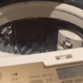 洗濯機に入った猫→飼い主が中を覗くと……ビックリしてしまう瞬間に15万…