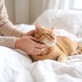 猫が『親友と認めた人』にだけみせるサイン4つ　あなたの愛猫はどう？…