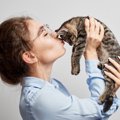 さすがの猫パワー！　やさしくフワフワな「セラピー猫」とのふれあいで、…